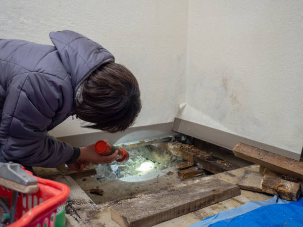 Best Crawl Space Mold Remediation  in El Centro, CA